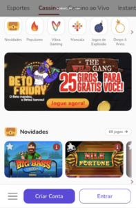 Pessoa verificando acesso mobile e login em um smartphone
